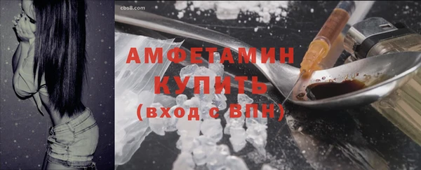 дживик Пересвет