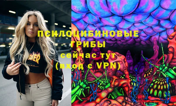 твердый Покачи