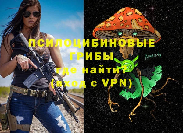 твердый Покачи
