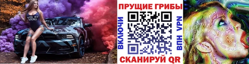 сайты даркнета формула Струнино Галлюциногенные грибы Cubensis